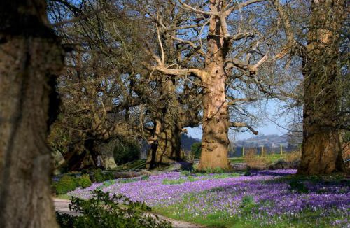 Littledean House | Dean Hall