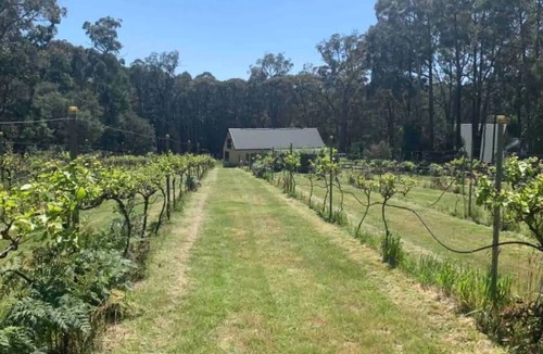 Dean House | DeAurora Cottage