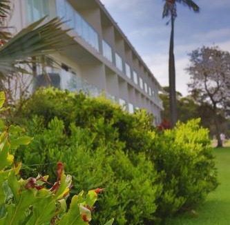 Dee Why Apartment | Dee Why Beach - Surfrider Studio 8