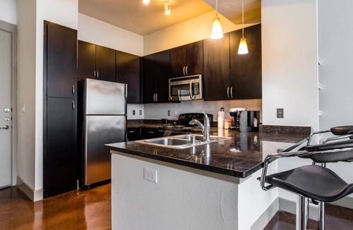 Deep Ellum Apartment | Deep Ellum Luxury Condo #2