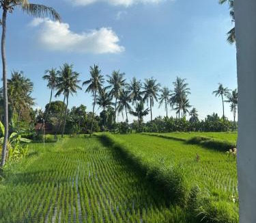 Buleleng House | Deepa Villa Lovina