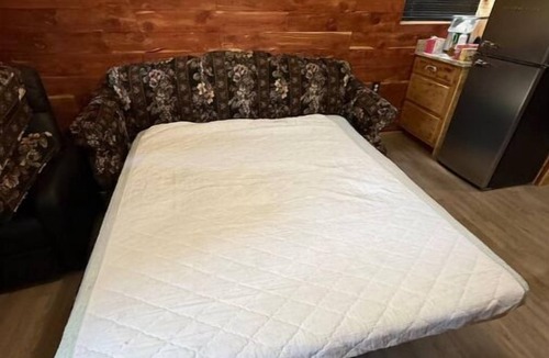 Noble House | Deer Cabin