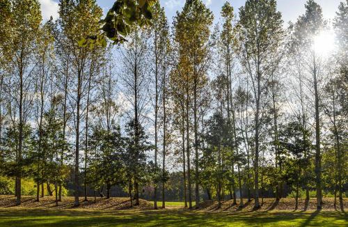 Abbess Roding House | Deer Cottage 2 Uk39332