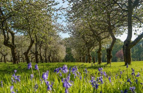 Abbess Roding House | Deer Cottage 2 Uk39332