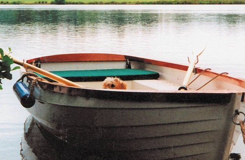 Thorpe Market Cottage | Deer Park Lookout - E3928