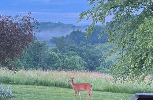 Logan House | Deer Run - by The Chalets