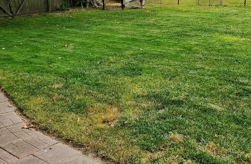 Del Haven House | Del Haven Delight