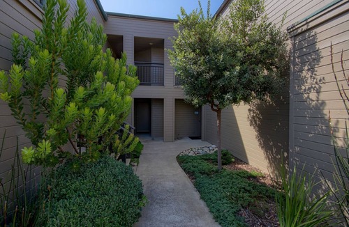 San Simeon Condo | Delightful Beachfront-Spring Special