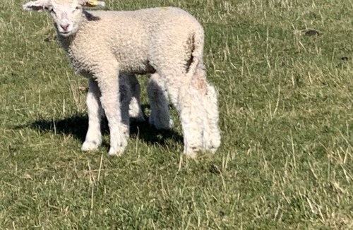 Rendcomb Cottage | Delightful Cotswold cottage with open fireplace and Rayburn