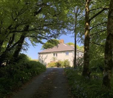 Dartmoor Forest Apartment | Delightful Dartmoor Apartment