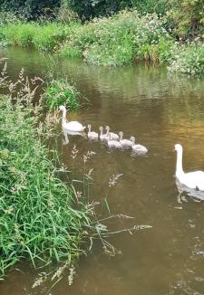 Bicton House | Delightful Devon Cottage