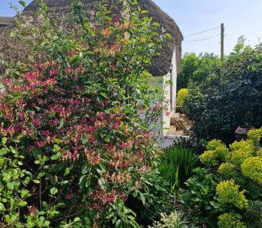 Bicton House | Delightful Devon Cottage