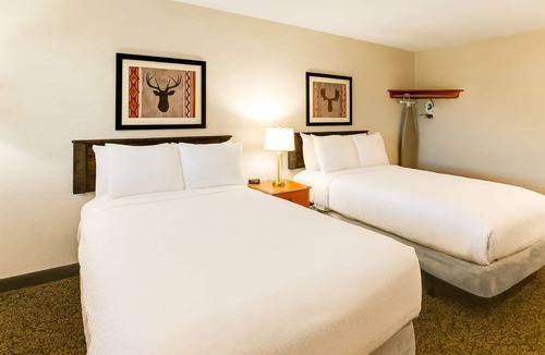 Peoria Hotel | Deluxe 2 Double in Stoney Creek Peoria! Free Hot Breakfast | 2 Units
