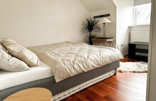 Herning Apartment | Deluxe Apartment on the Main Street with Free Parking & Late Checkout