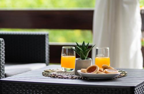 Irinovac Apartment | Deluxe Apartment with Jacuzzi - PATAR