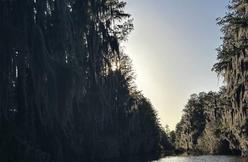 Folkston Cabin | Deluxe Cabin - The Bear Den - Our Deluxe Cabins offer comfort with a true Okefenokee feel. Climate controlled, private, and set in a quiet part of the campground.