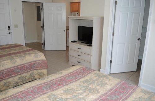 Calabash Apartment | Deluxe Double Studio