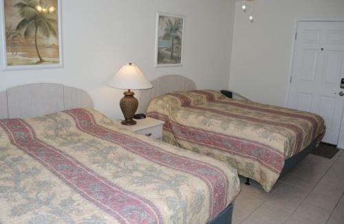 Calabash Apartment | Deluxe Double Studio