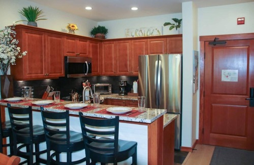 Salt Lake Mountain Resorts Condo | Deluxe Solitude Ski in/out 2bed/2bath Condo