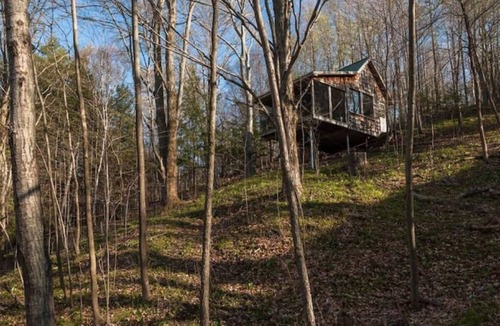 Scugog Cabin | Deluxe Tree House 1 Hour from Toronto