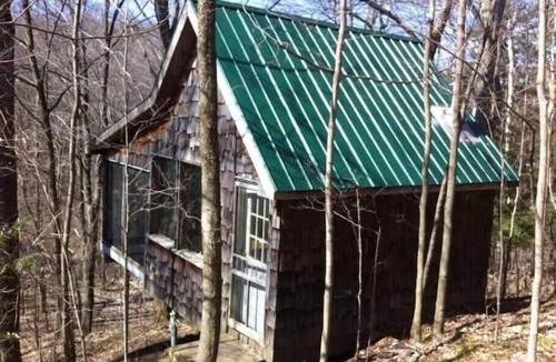 Scugog Cabin | Deluxe Tree House 1 Hour from Toronto