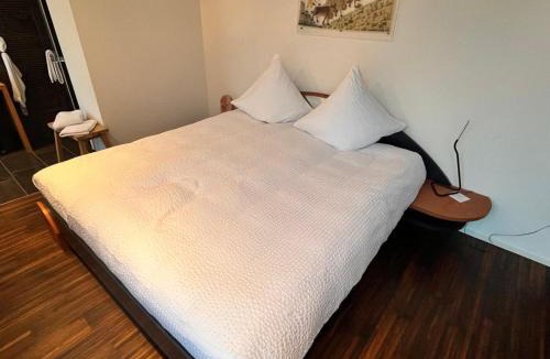Teufen House | Deluxe Zimmer in Privatwohnung an zentraler Lage
