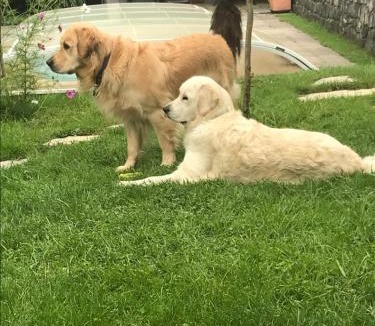 Viviers-du-Lac Bed & Breakfast | Demeure d'hôtes Les Irisynes