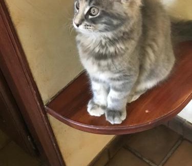 Viviers-du-Lac Bed & Breakfast | Demeure d'hôtes Les Irisynes