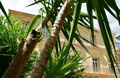 Neffies Bed & Breakfast | Demeure de Sainte Clotilde, idéale pour les fêtes et les anniversaires