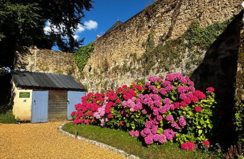 Flore Apartment | Demeure Jousset des Berries