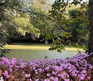 Feneu House | Demeure La Lande Fleurie