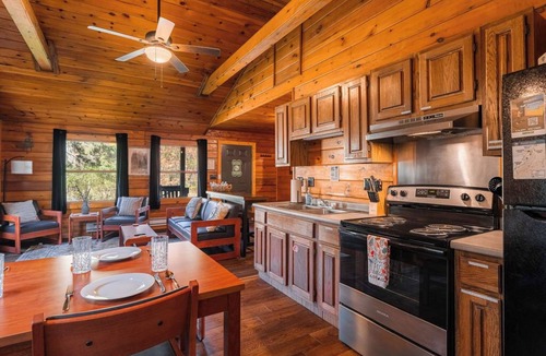 Mills Cabin | Denton Go Cabin #1 | Denton Hill State Park