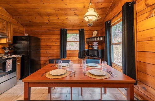 Mills Cabin | Denton Go Cabin #1 | Denton Hill State Park