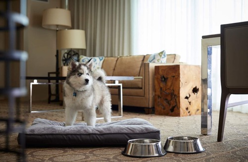 West Central Westminster Hotel | Denver Marriott Westminster