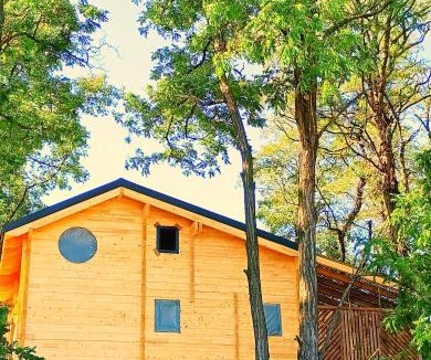 Chateauneuf-sur-Isere Bed & Breakfast | DES BRANCHES & VOUS