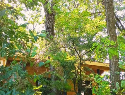 Chateauneuf-sur-Isere Bed & Breakfast | DES BRANCHES & VOUS