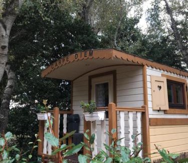 Barbentane House | Des roulottes en Provence