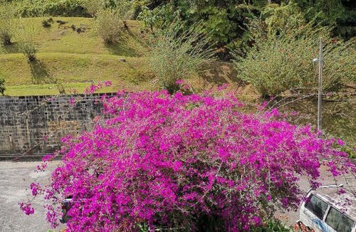 Sungai Bertam Apartment | Desa Anthurium Apartment @ Cameron Highlands