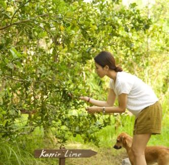 Lodtunduh Bed & Breakfast | Desa Evergreen Bali