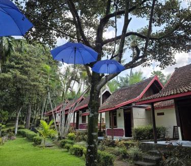 Banyuwangi House | Desa Wisata Osing Kemiren Ijen