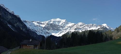 Richigen Apartment | DesAlpes