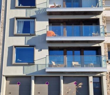 Boulogne-sur-Mer Apartment | Descente à la mer