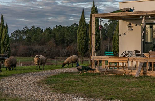 La Clotte House | Description