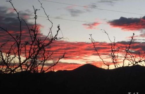 Valentine Other | Desert Gardens Oasis Camping in Lobo, TX