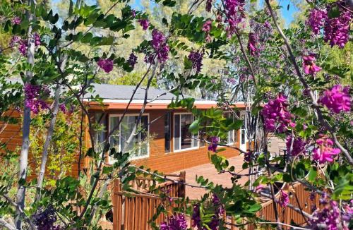 Newberry Springs Cabin | Desert Lakeside Resort
