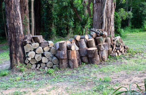 Upwey Apartment | Detached Apartment plus breakfast - historic and elegant