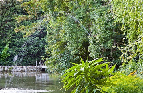 Niton Cottage | Detached barn conversion in glorious 2 acre garden