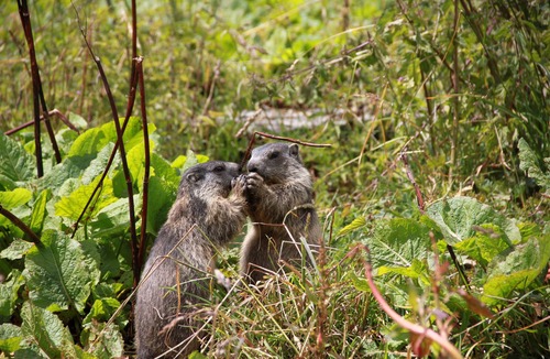 Gap House | Detached house ideally located