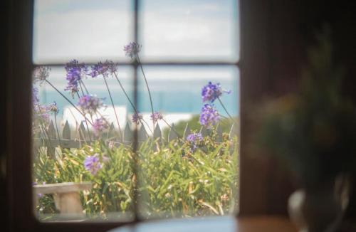 Cape Bridgewater House | Devlin's Cottage