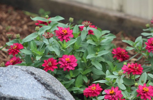 Fenton Street House | Devon holidays in Rotorua